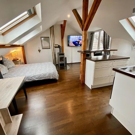 Wohnen Ueber Den Daechern Von Ravensburg, Stadtnah, Kamin, Klima Lejlighed Eksteriør billede